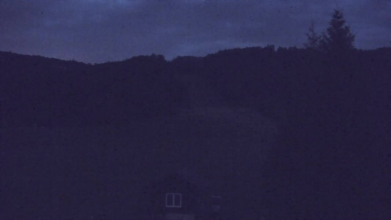 Webcam Lokve – La beauté de la forêt de Trnovo