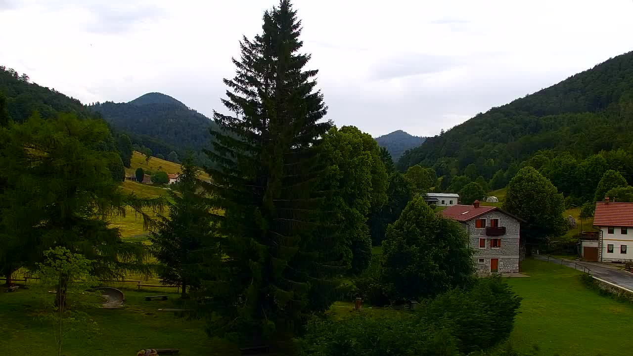 Webcam Lokve – The beauty of the Trnovo forest