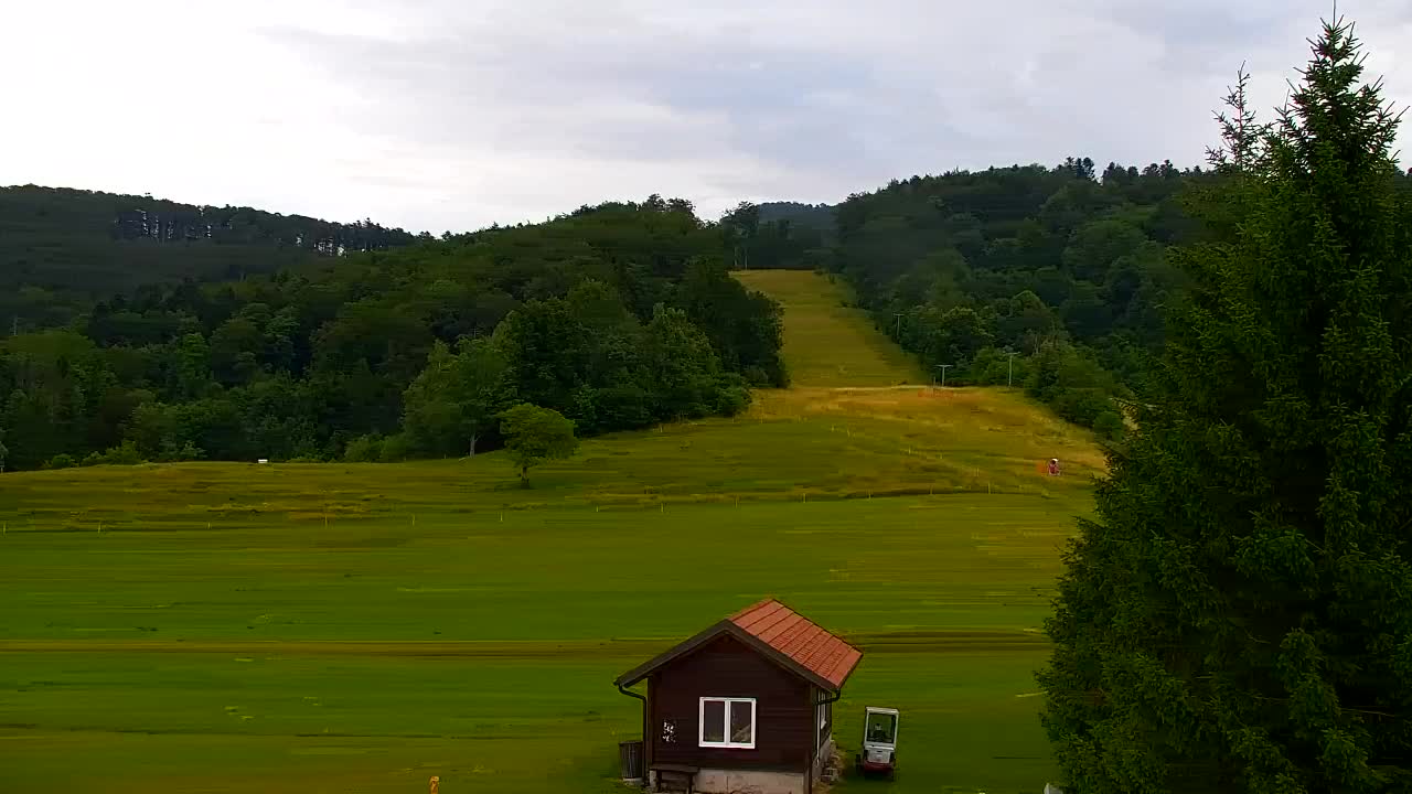Webcam Lokve – The beauty of the Trnovo forest