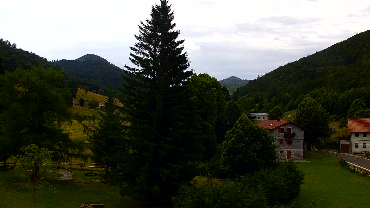 Webcam Lokve – The beauty of the Trnovo forest