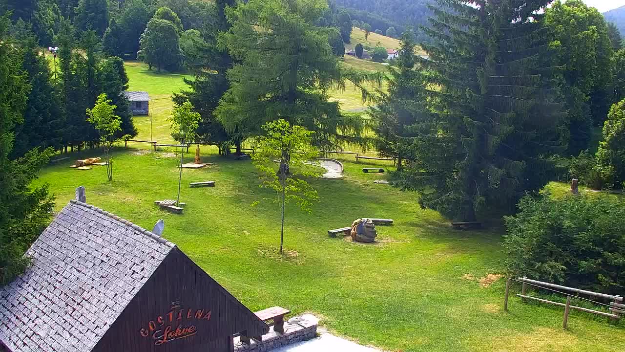 Webcam Lokve – Die Schönheit des Trnovo-Waldes