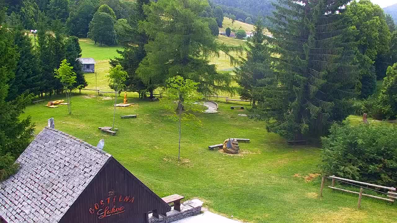 Webcam Lokve – The beauty of the Trnovo forest