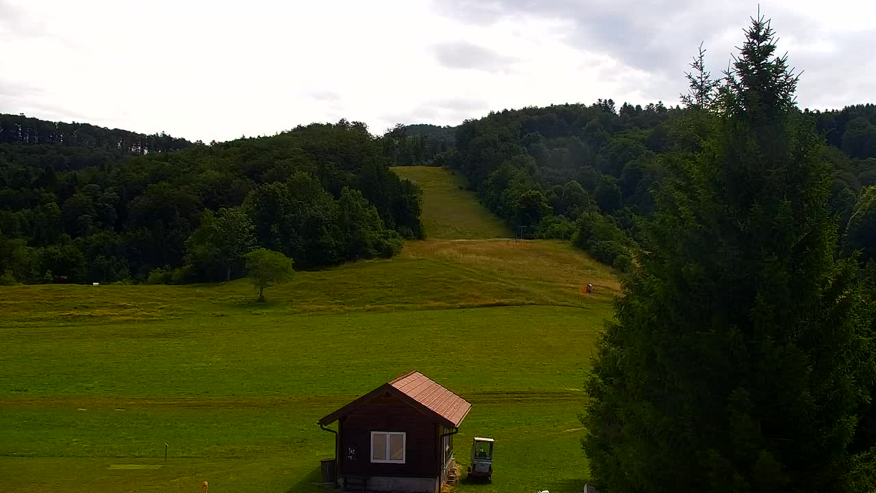 Webcam Loqua / Lokve – La bellezza della selva di Tarnova