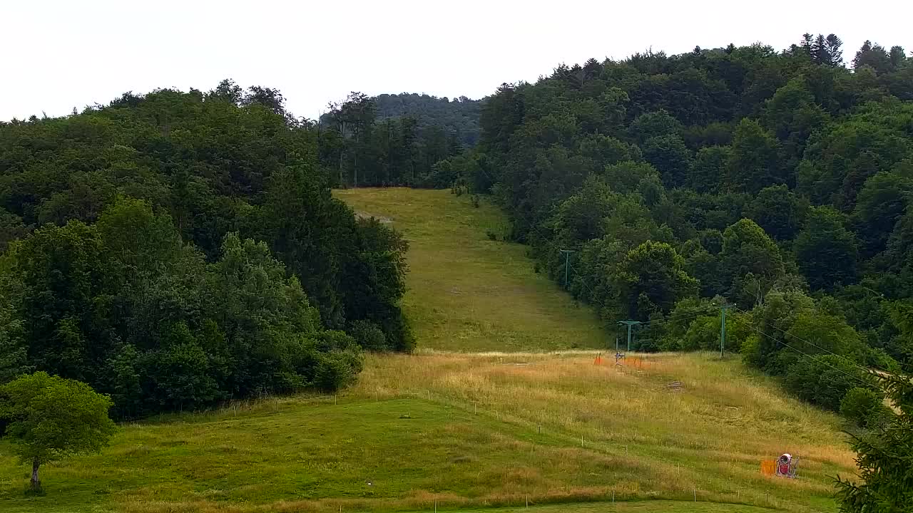 Webcam Lokve – The beauty of the Trnovo forest