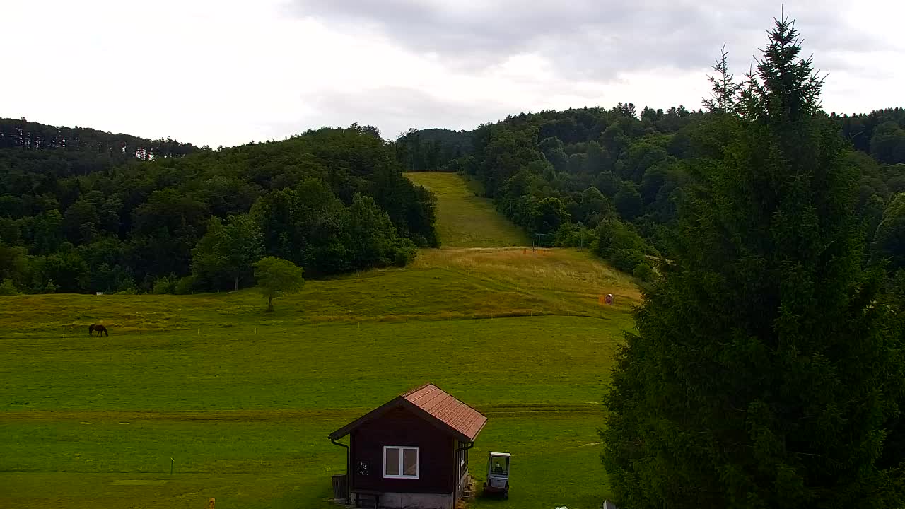 Webcam Loqua / Lokve – La bellezza della selva di Tarnova