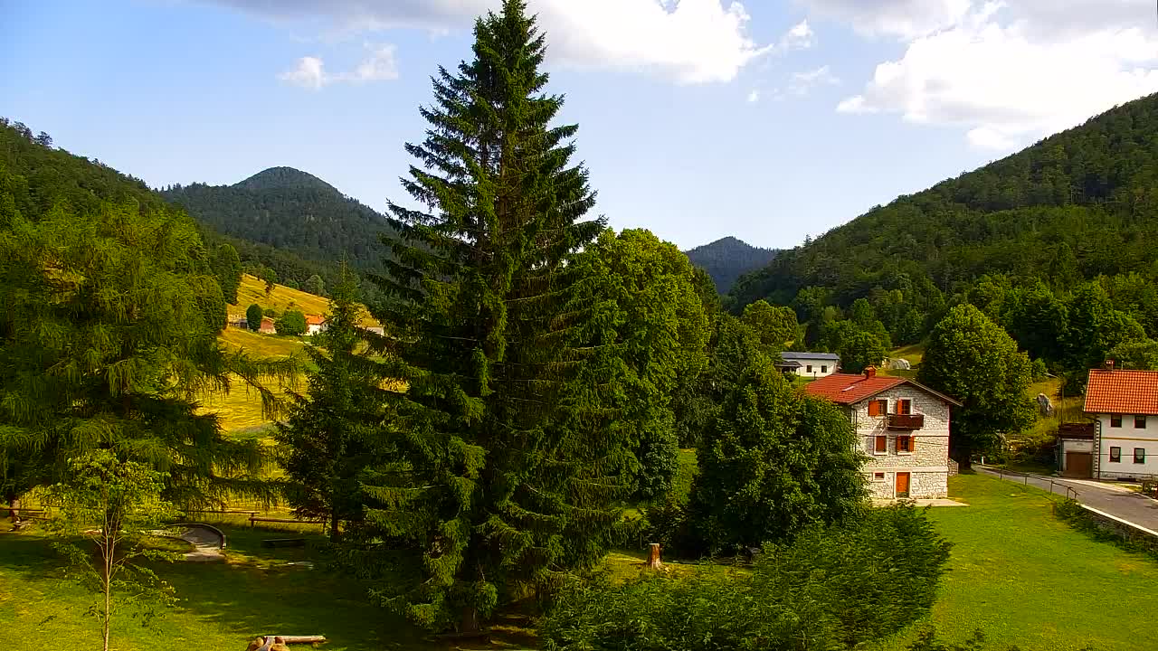 Webcam Lokve – The beauty of the Trnovo forest