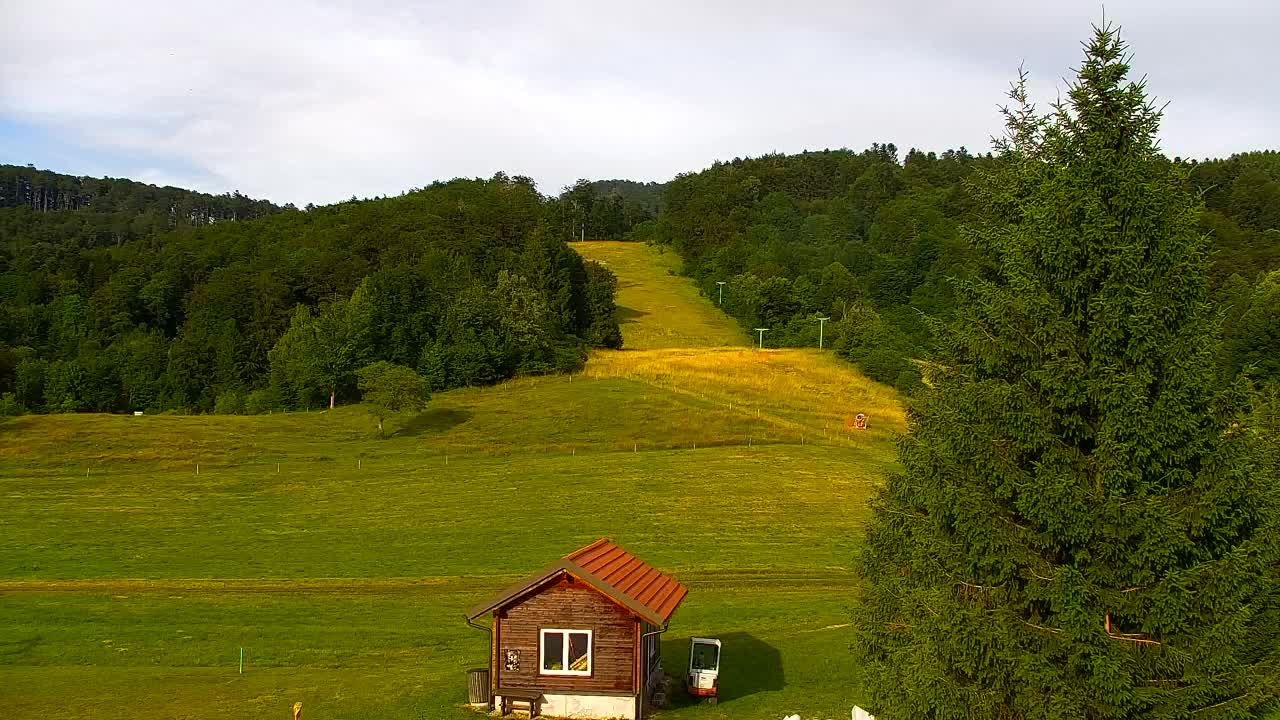 Webcam Lokve – The beauty of the Trnovo forest