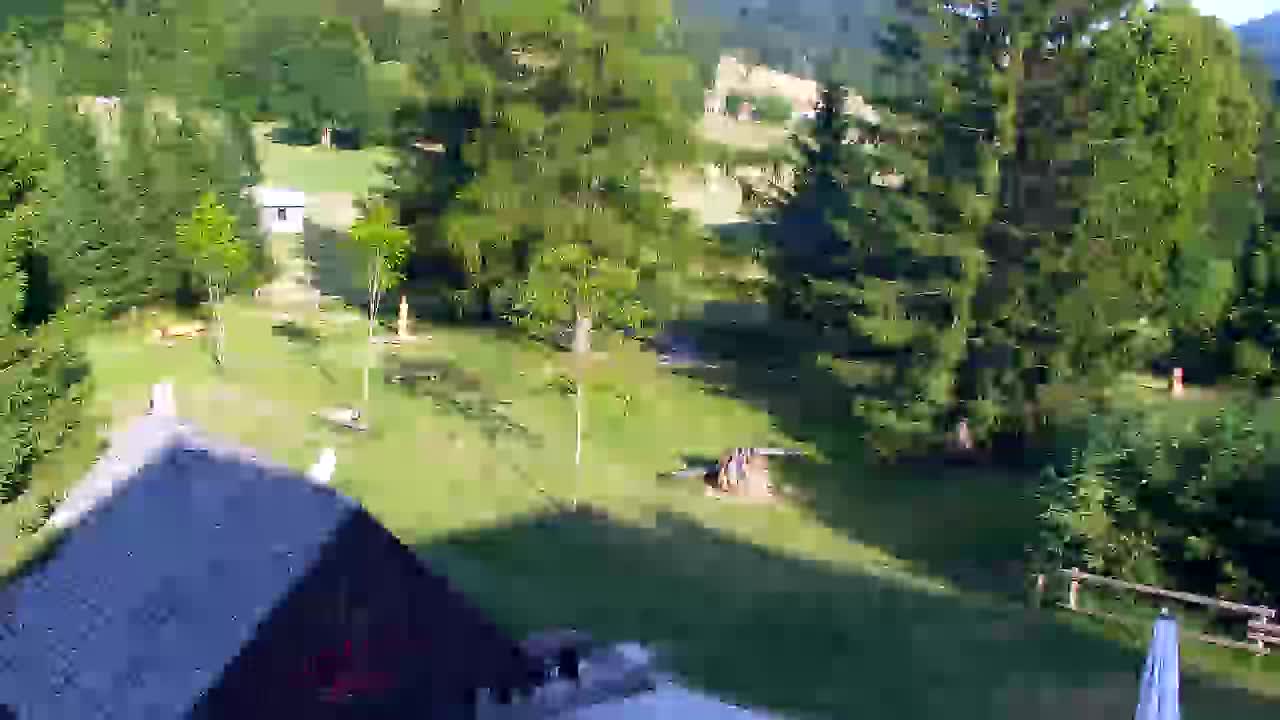 Webcam Loqua / Lokve – La bellezza della selva di Tarnova