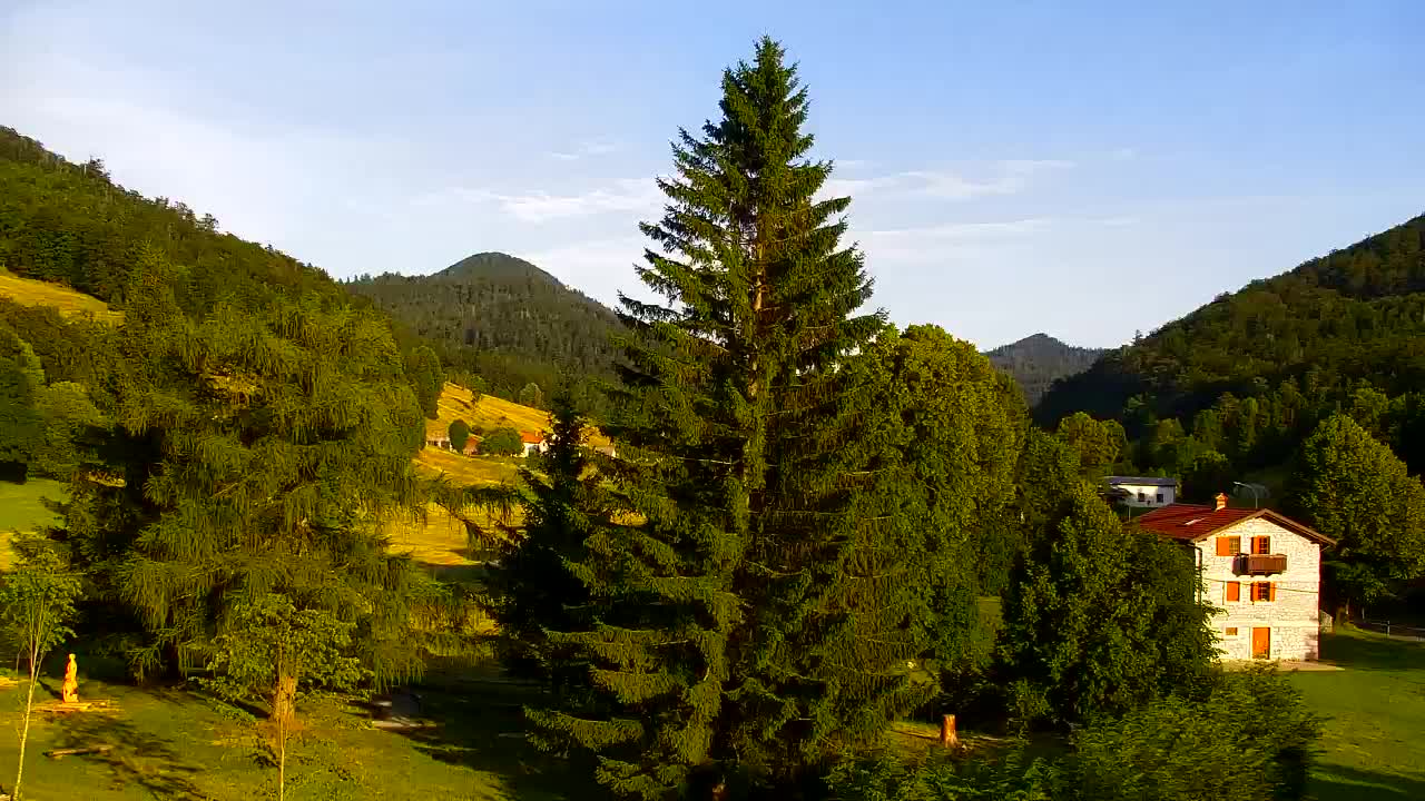 Webcam Lokve – The beauty of the Trnovo forest