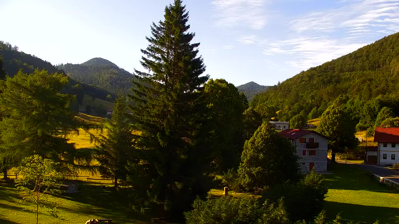 Webcam Lokve – The beauty of the Trnovo forest
