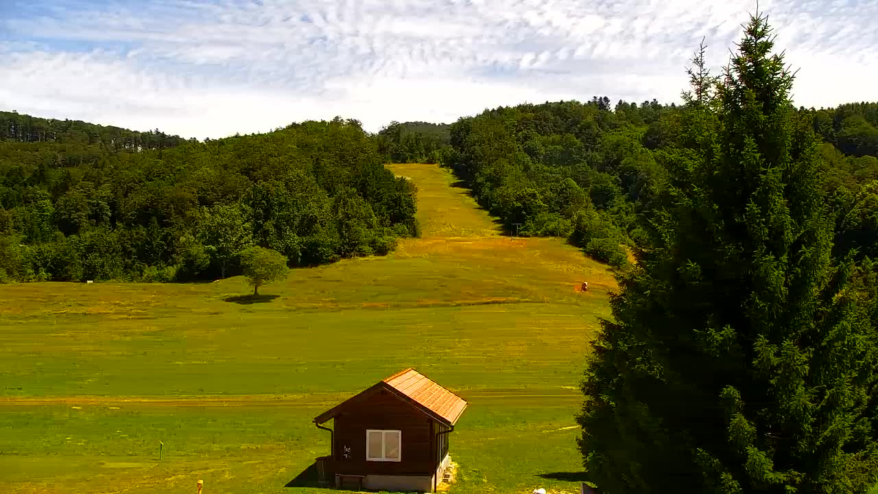 Webcam Lokve – La beauté de la forêt de Trnovo