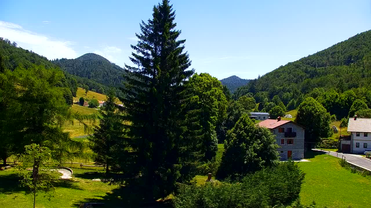 Webcam Lokve – The beauty of the Trnovo forest