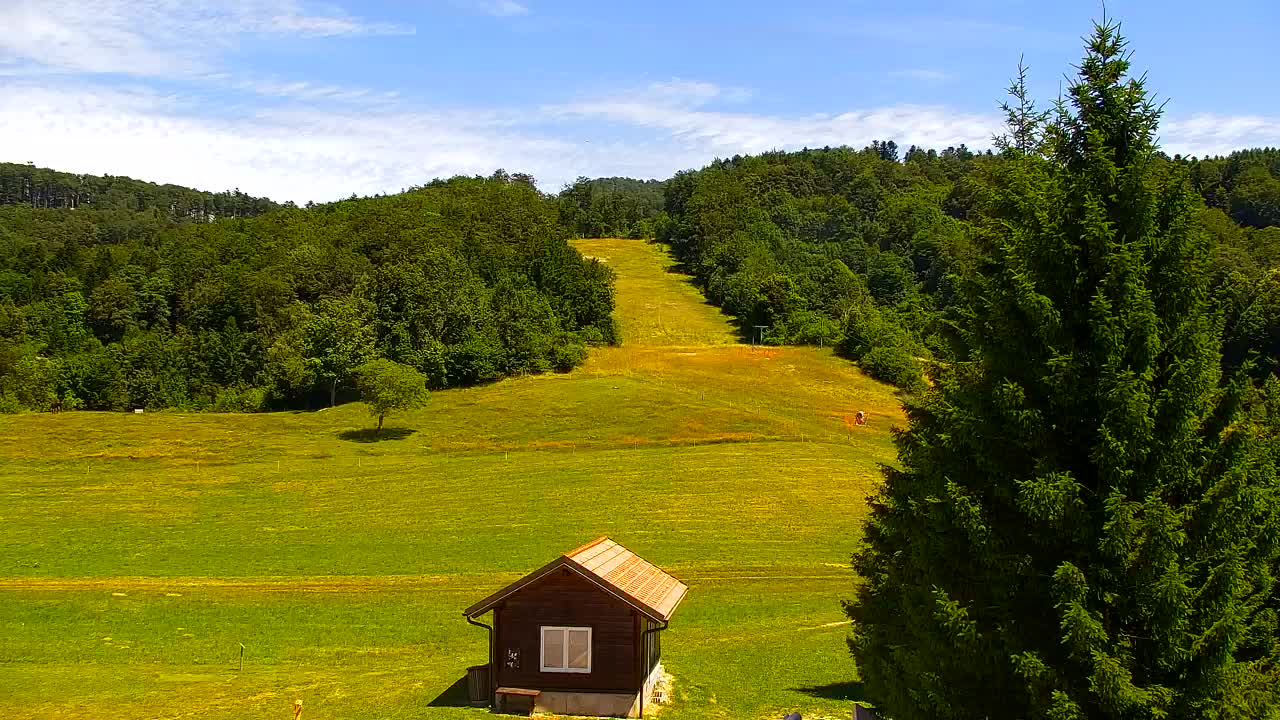 Webcam Lokve – Die Schönheit des Trnovo-Waldes