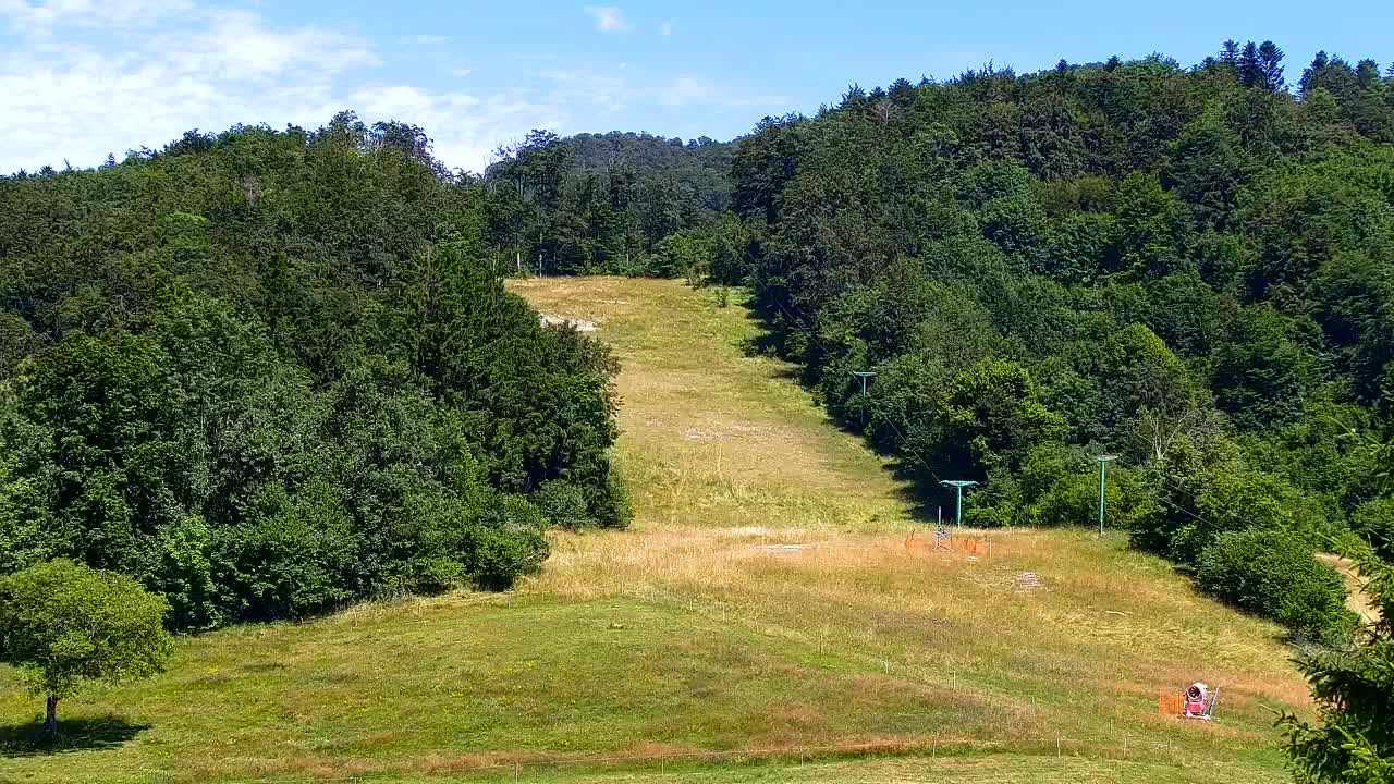Webcam Loqua / Lokve – La bellezza della selva di Tarnova