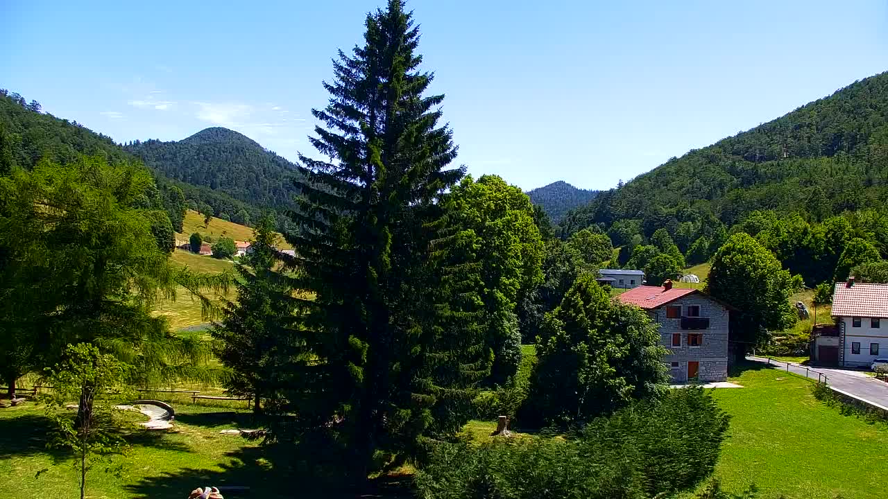 Webcam Lokve – La beauté de la forêt de Trnovo