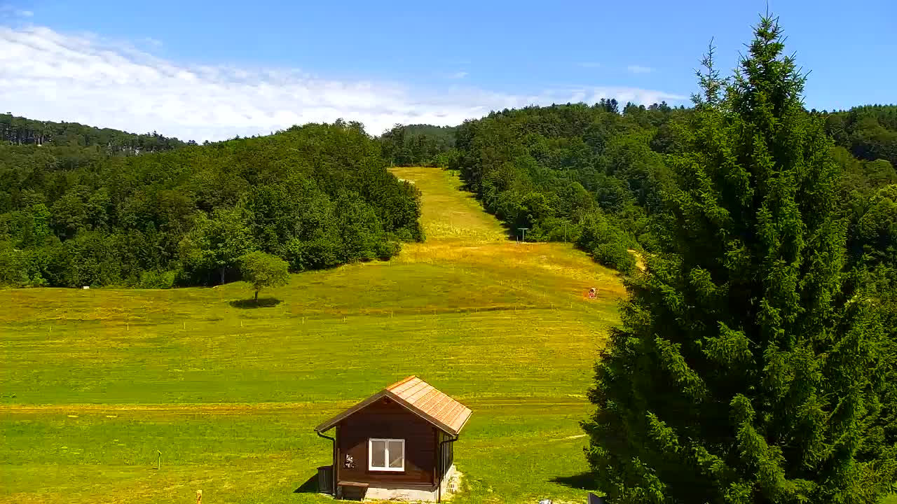 Webcam Lokve – Die Schönheit des Trnovo-Waldes