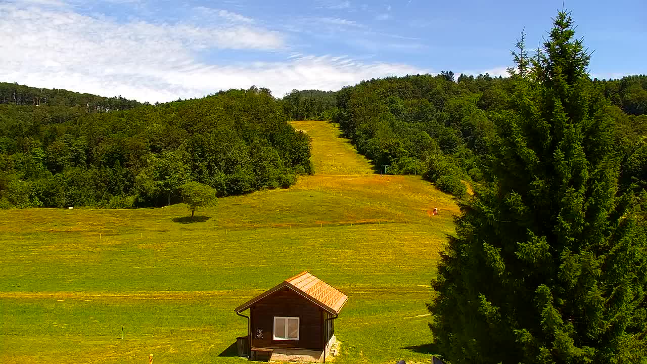 Webcam Lokve – The beauty of the Trnovo forest