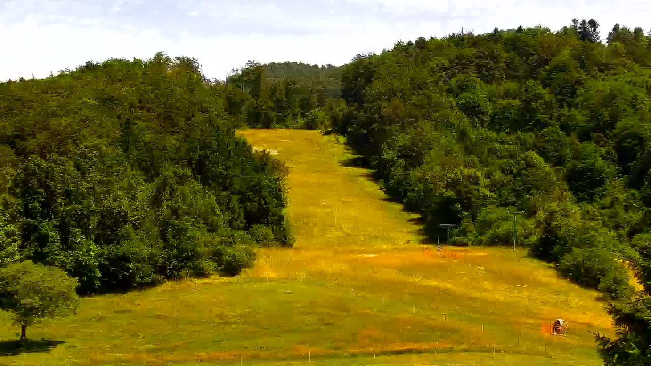 Webcam Lokve – The beauty of the Trnovo forest