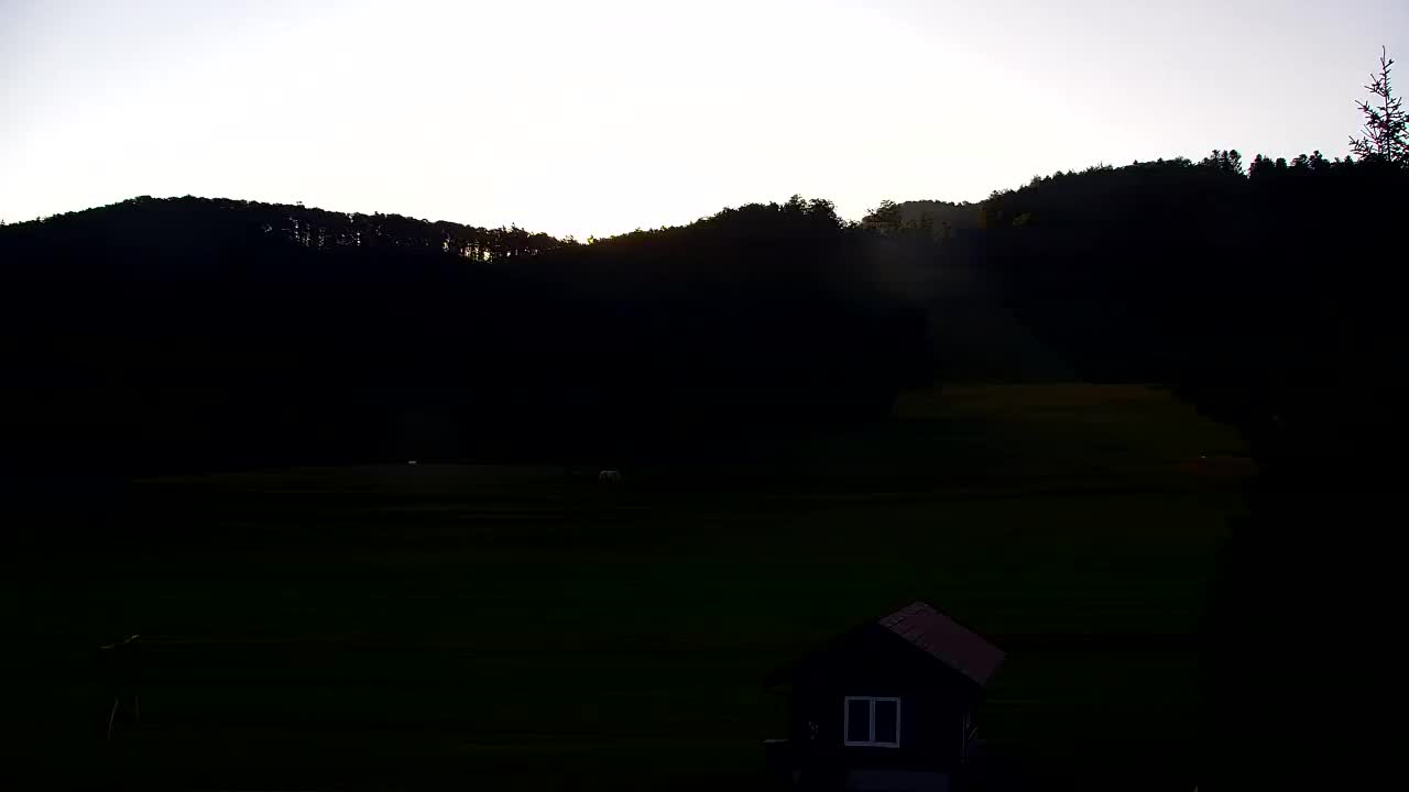 Webcam Loqua / Lokve – La bellezza della selva di Tarnova