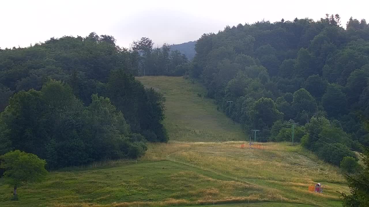 Webcam Lokve – The beauty of the Trnovo forest