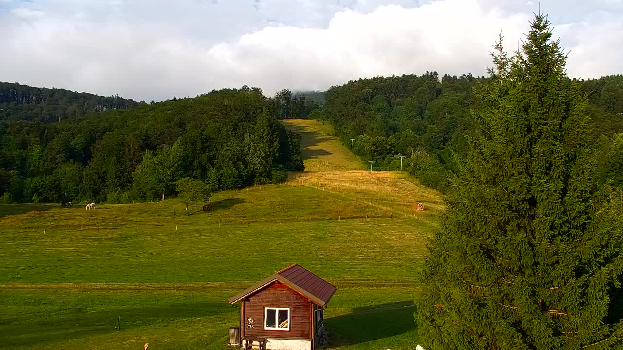 Webcam Lokve – The beauty of the Trnovo forest