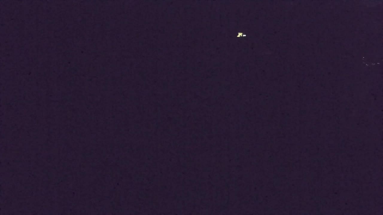 Webcam Loqua / Lokve – La bellezza della selva di Tarnova