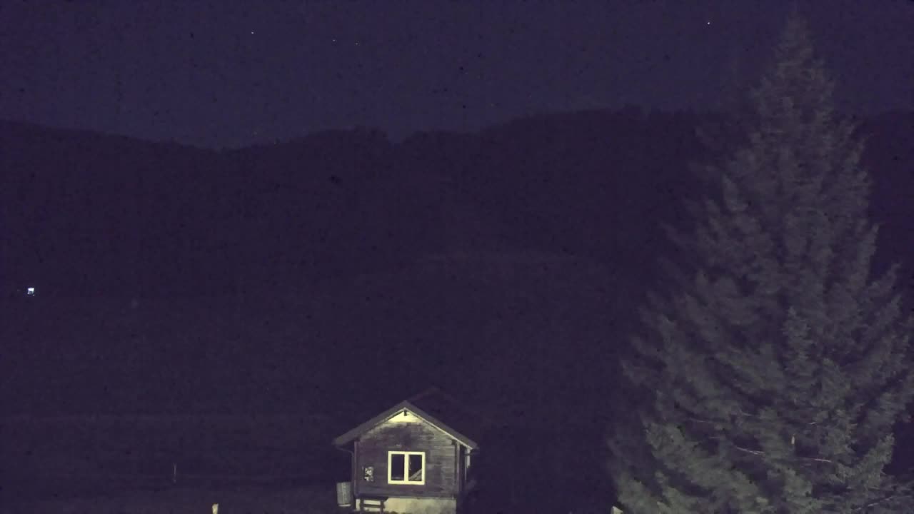 Webcam Loqua / Lokve – La bellezza della selva di Tarnova
