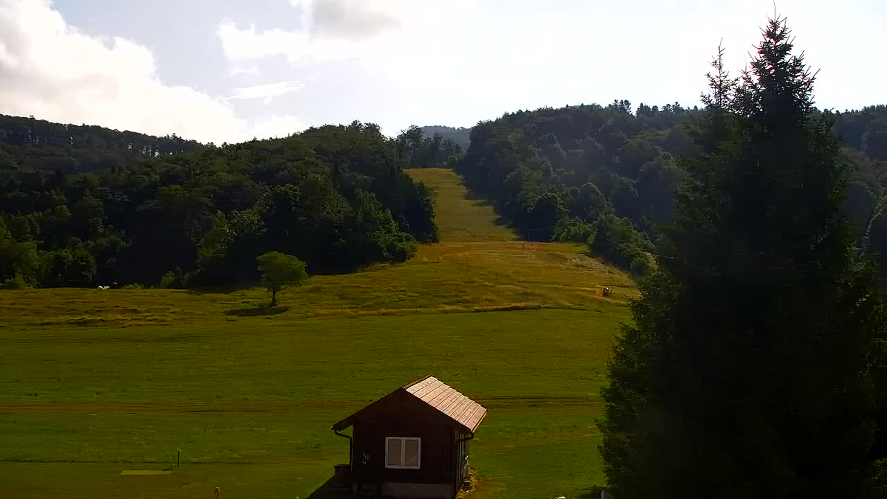 Webcam Lokve – La beauté de la forêt de Trnovo