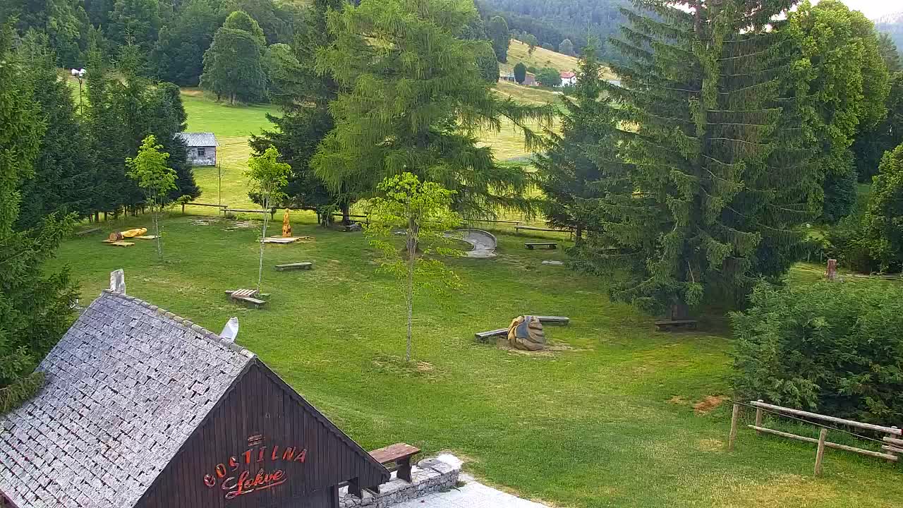 Webcam Lokve – The beauty of the Trnovo forest