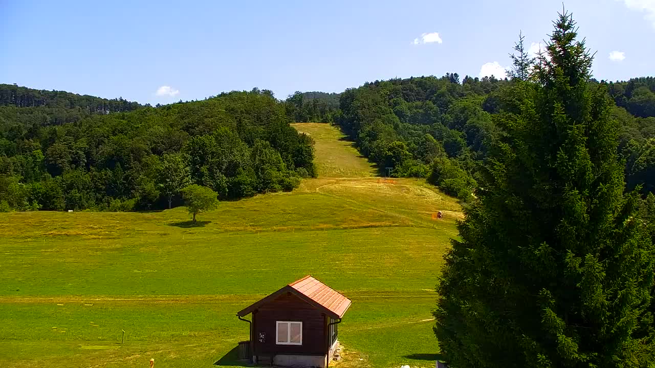Webcam Lokve – The beauty of the Trnovo forest