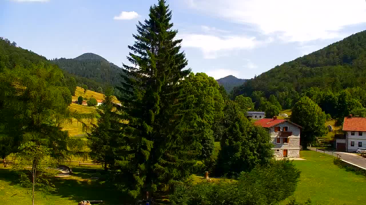 Webcam Lokve – The beauty of the Trnovo forest
