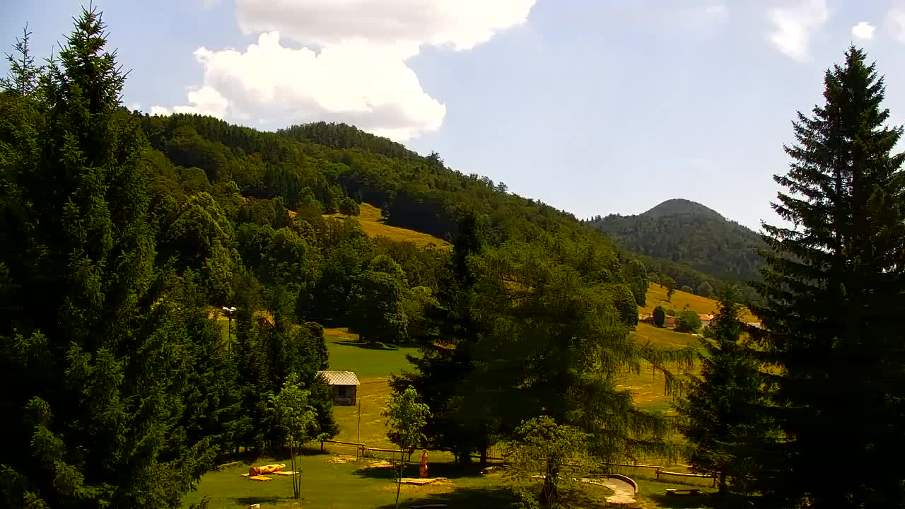Webcam Lokve – The beauty of the Trnovo forest