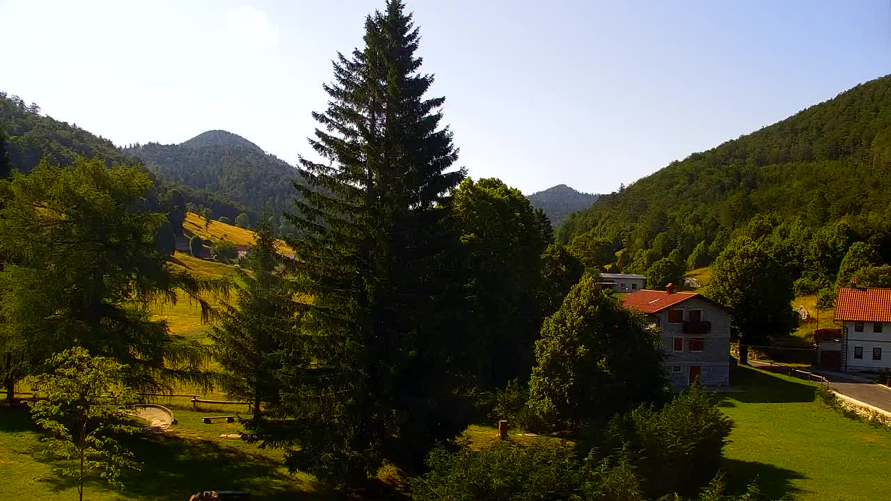 Webcam Lokve – The beauty of the Trnovo forest