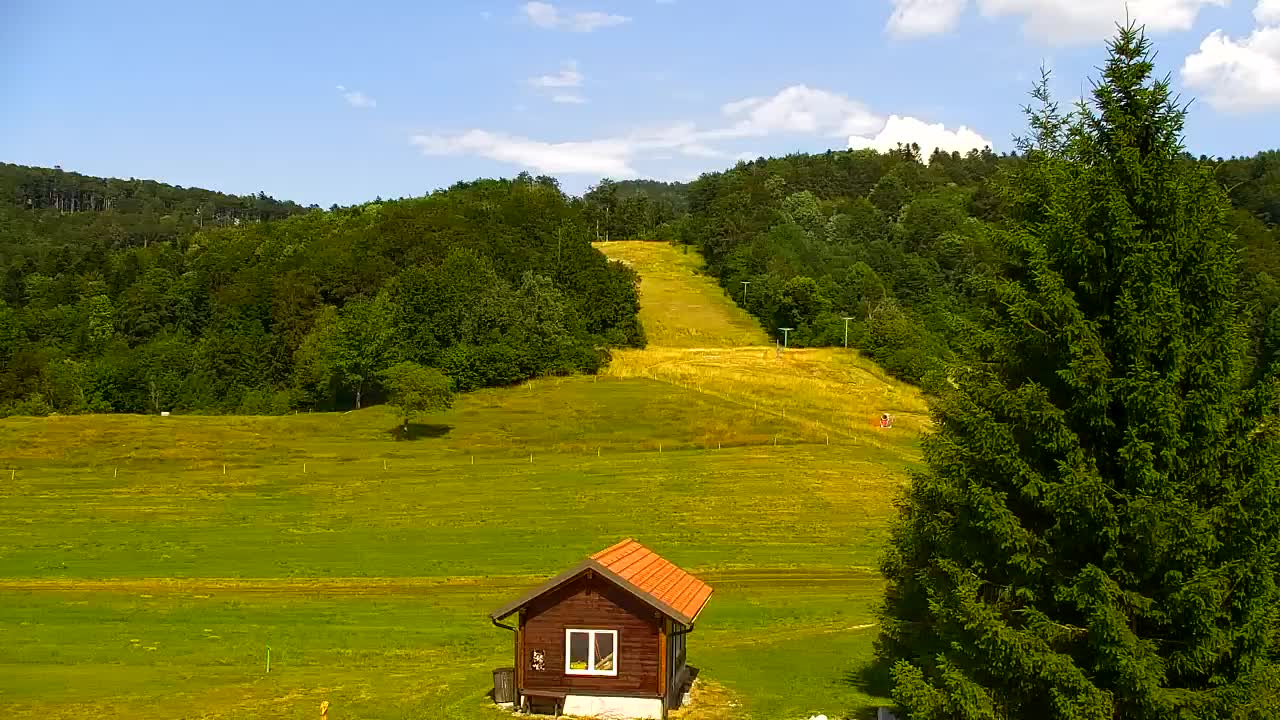 Camera en vivo Lokve – La belleza del bosque de Trnovo
