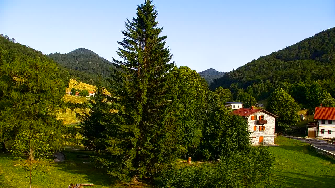 Webcam Lokve – La beauté de la forêt de Trnovo