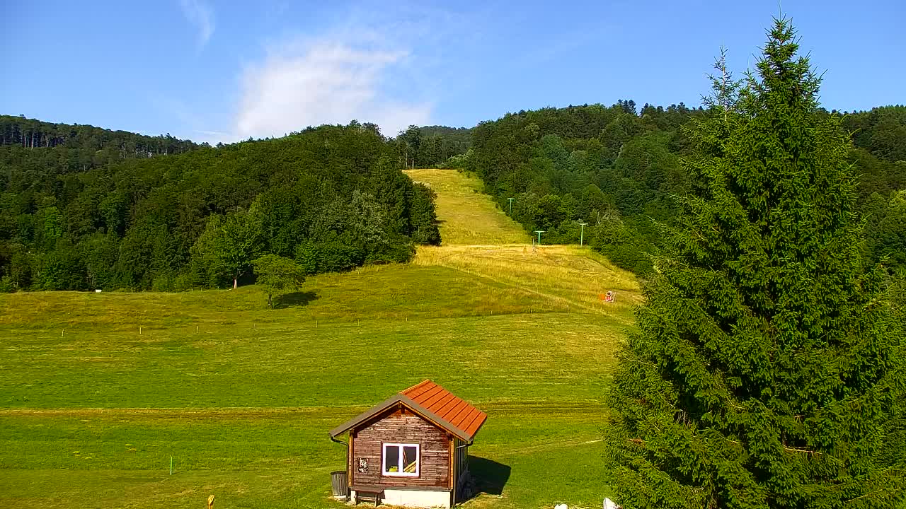 Webcam Loqua / Lokve – La bellezza della selva di Tarnova