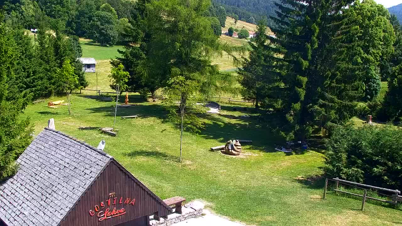 Webcam Loqua / Lokve – La bellezza della selva di Tarnova