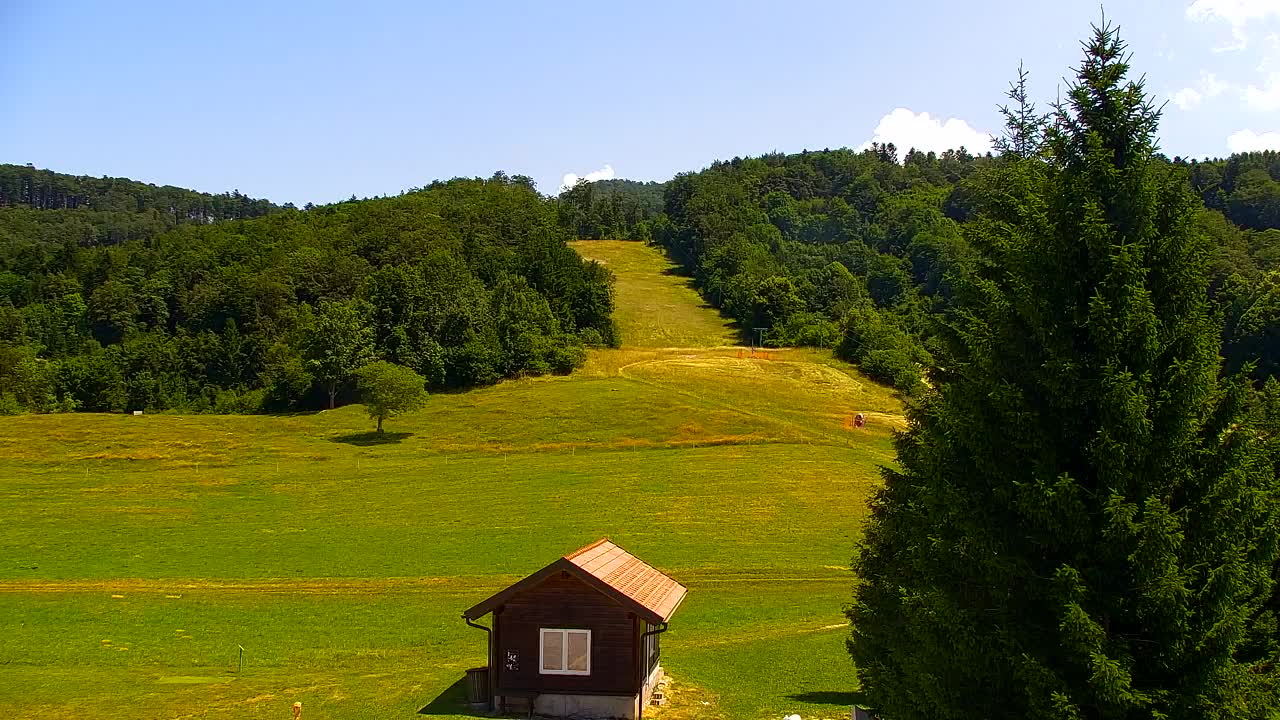 Webcam Lokve – The beauty of the Trnovo forest
