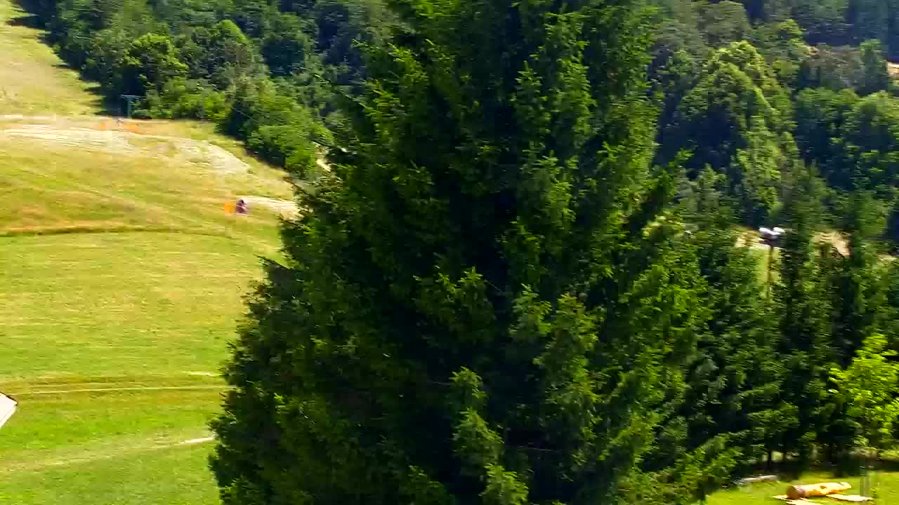 Webcam Lokve – The beauty of the Trnovo forest