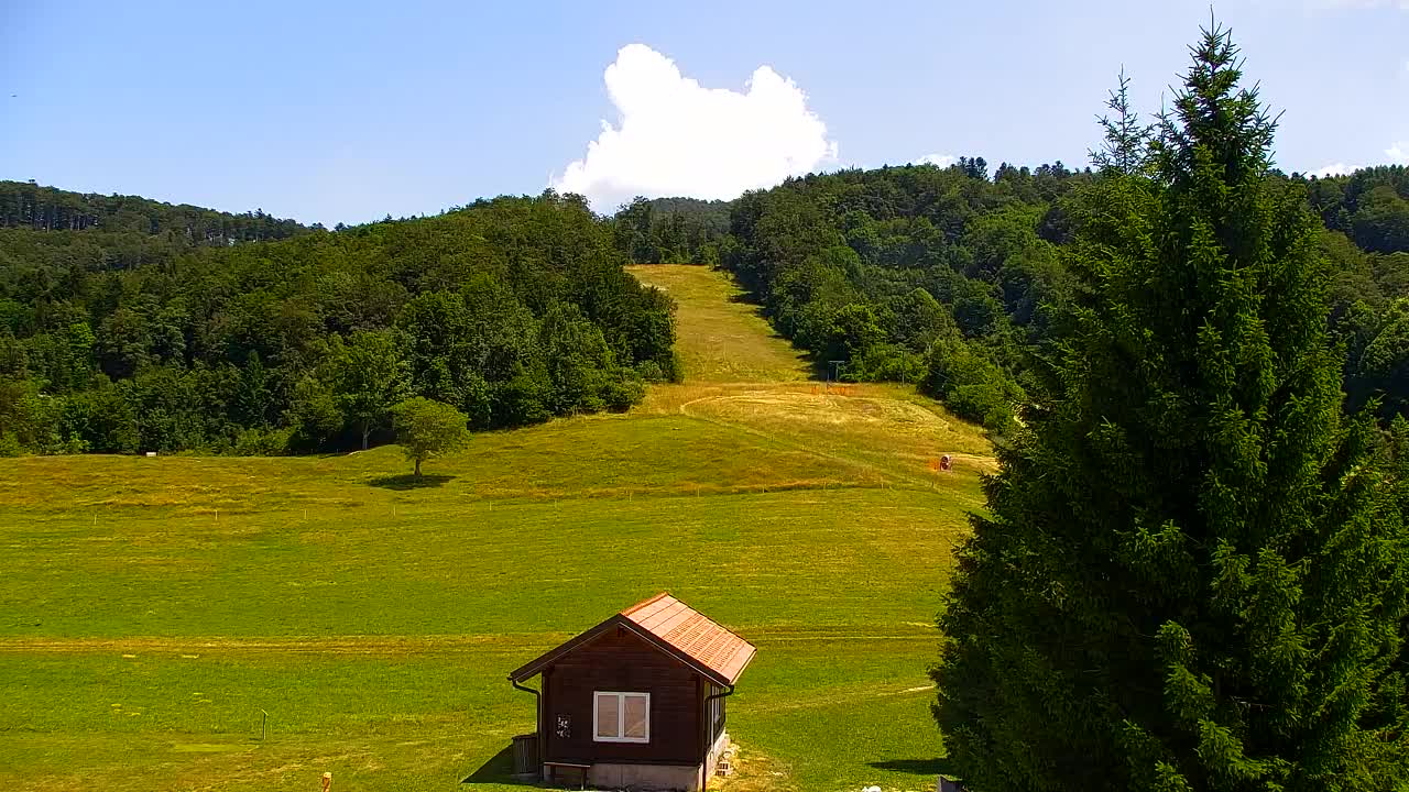 Webcam Lokve – La beauté de la forêt de Trnovo