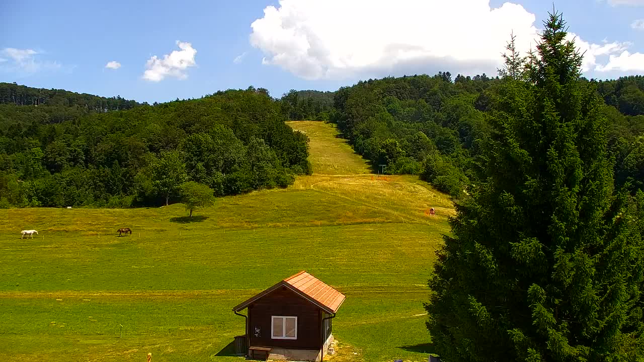 Webcam Lokve – Die Schönheit des Trnovo-Waldes