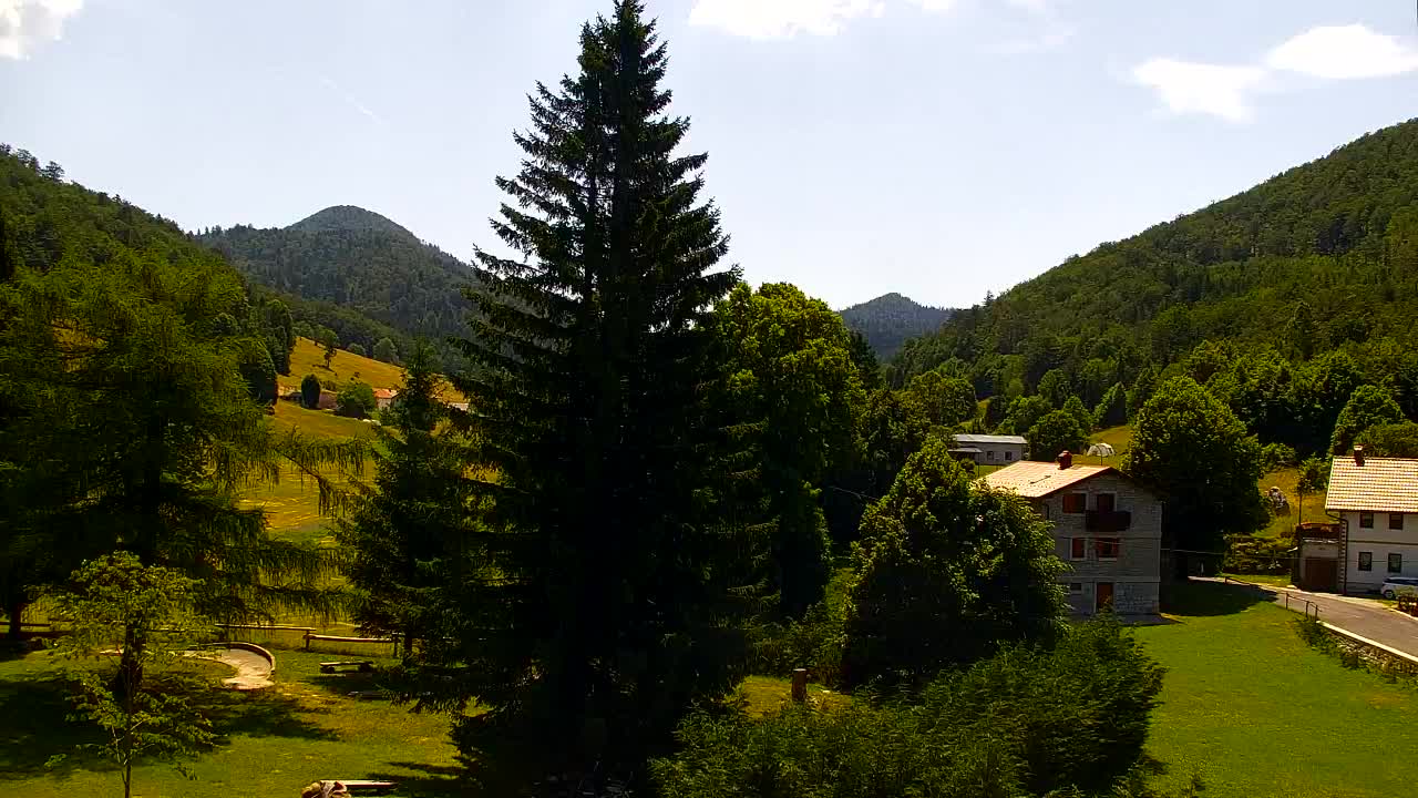 Webcam Lokve – The beauty of the Trnovo forest