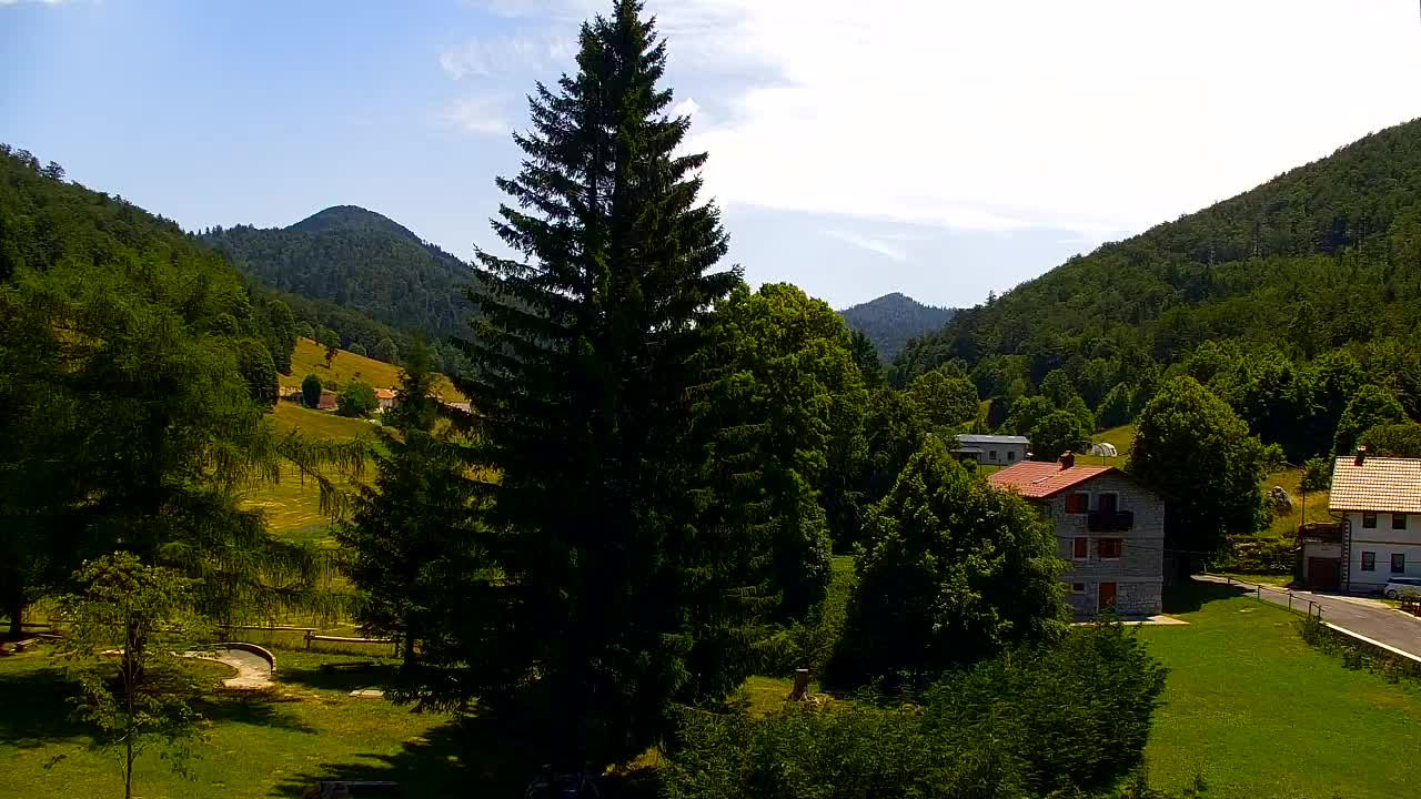 Webcam Lokve – The beauty of the Trnovo forest