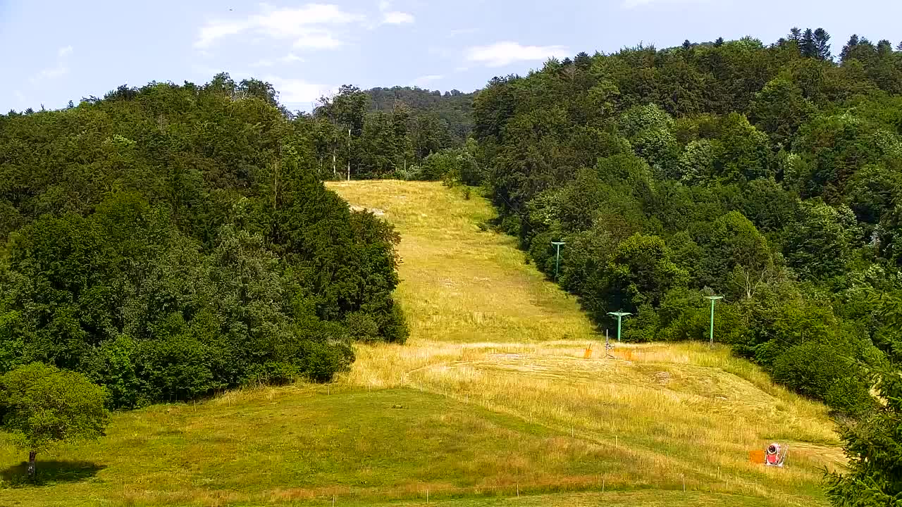 Camera en vivo Lokve – La belleza del bosque de Trnovo