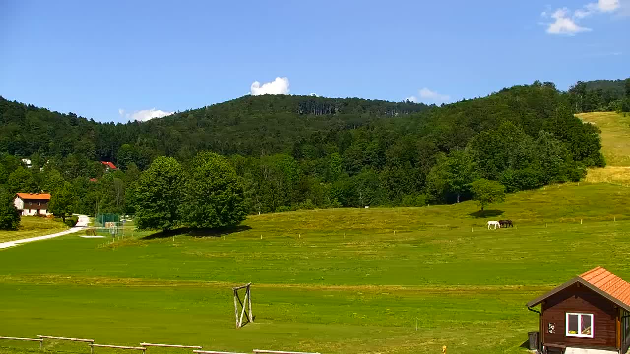 Webcam Lokve – The beauty of the Trnovo forest