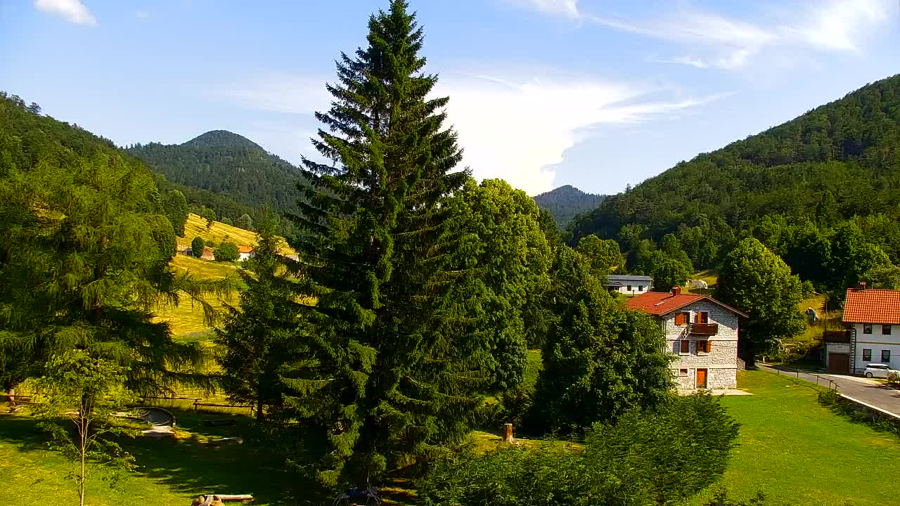 Webcam Loqua / Lokve – La bellezza della selva di Tarnova