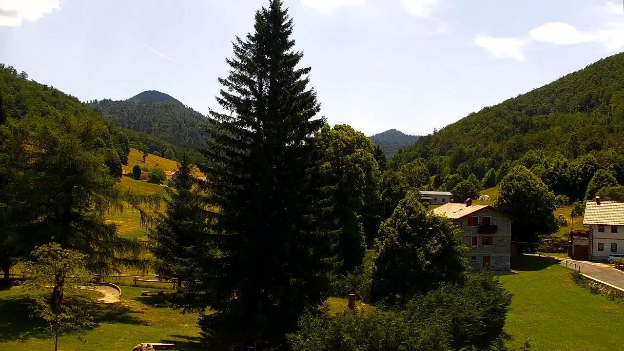 Webcam Lokve – The beauty of the Trnovo forest
