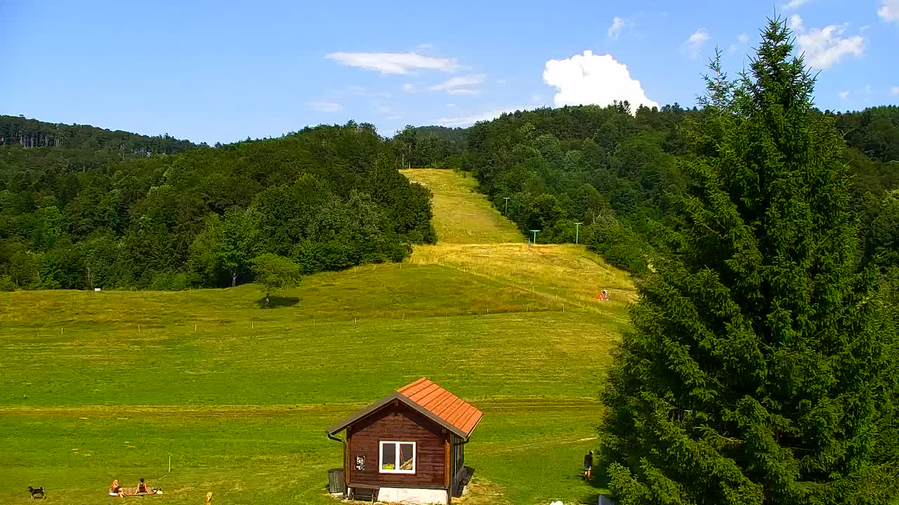 Webcam Lokve – La beauté de la forêt de Trnovo