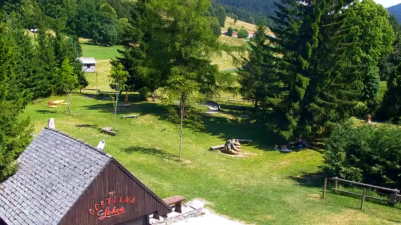 Webcam Loqua / Lokve – La bellezza della selva di Tarnova