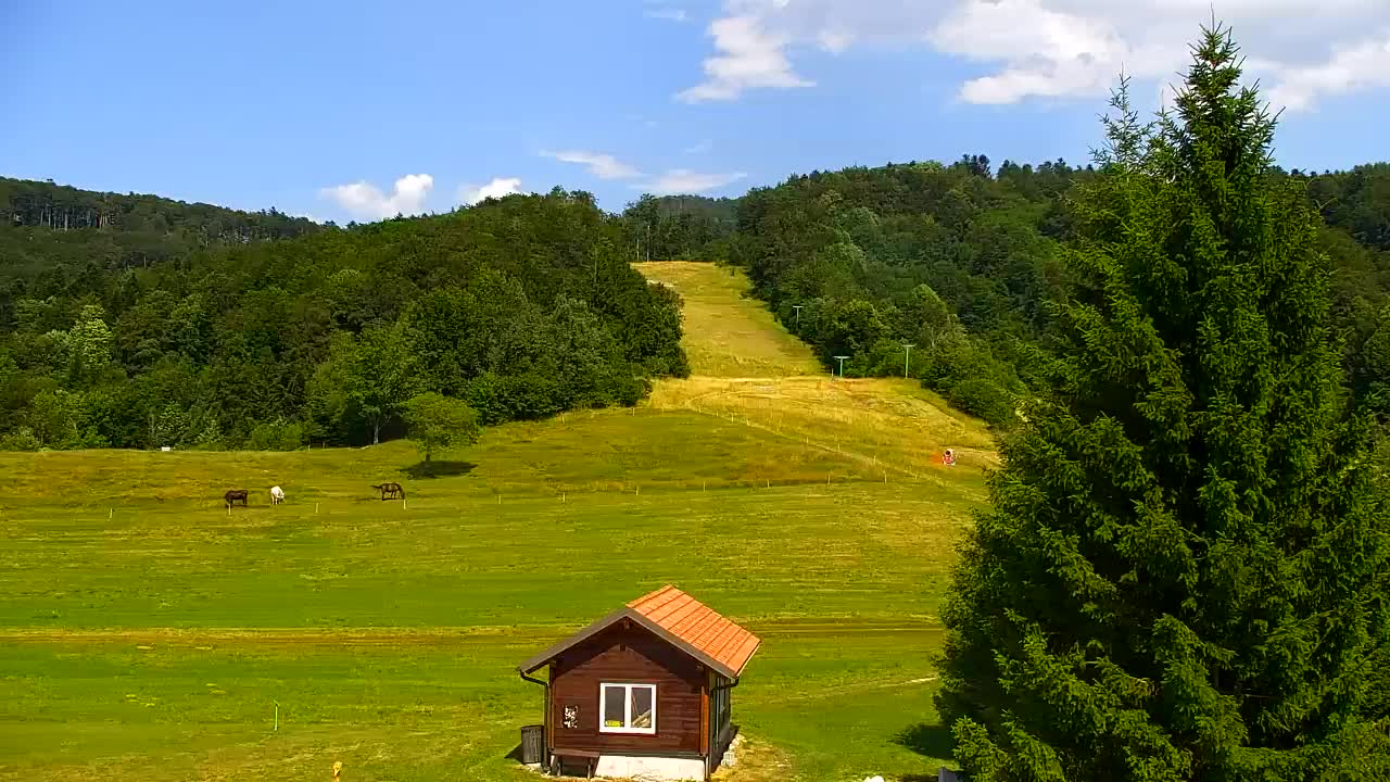 Camera en vivo Lokve – La belleza del bosque de Trnovo